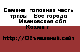 Семена (головная часть))) травы - Все города  »    . Ивановская обл.,Кохма г.